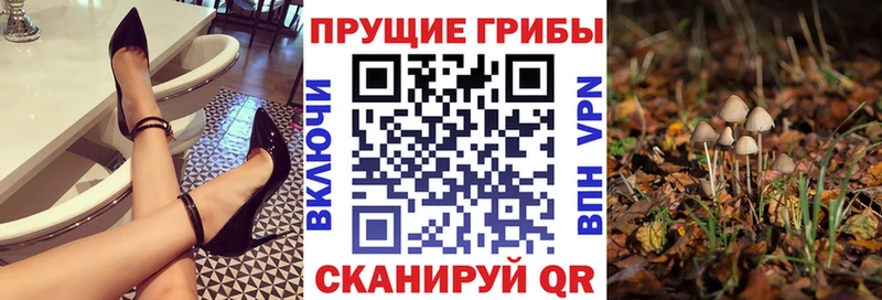 Псилоцибиновые грибы Magic Shrooms  Купить закладки  Закаменск 